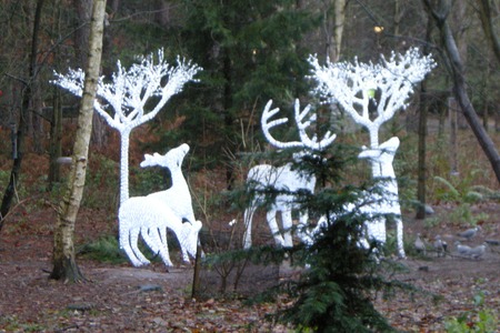 Center Parcs Sherwood Forest - Countdown to Christmas 09centerparcs-36