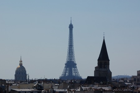 Notre Dame de Paris paris2010-01