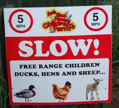 Free range children at Ash End House Farm