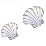Picture to print for large underwater sea picture - sea shells
