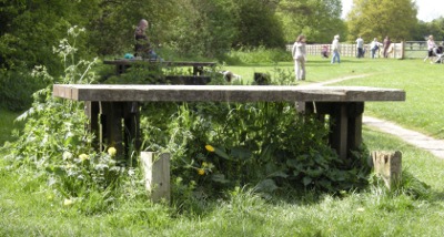 Poorly maintained picnic benches at Sheldon Country Park, West Midlands