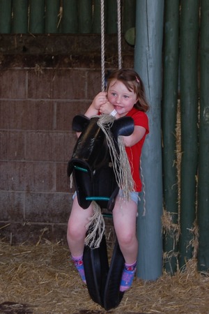 Greenlands Farm Village childrenfarm04