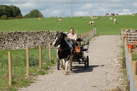 Greenlands Farm Village childrenfarm28