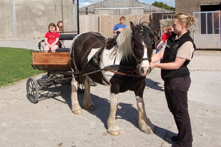 Greenlands Farm Village childrenfarm29